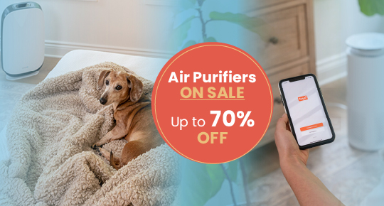 the Cyclovac family now offers air purifiersr